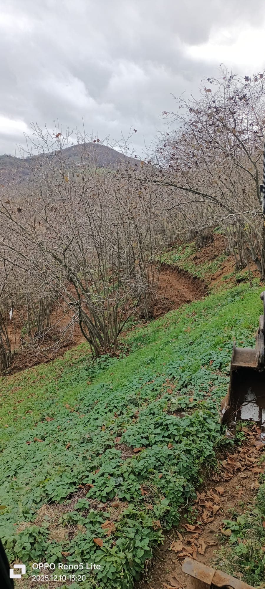 Fındık Arası Teraslama Hizmeti