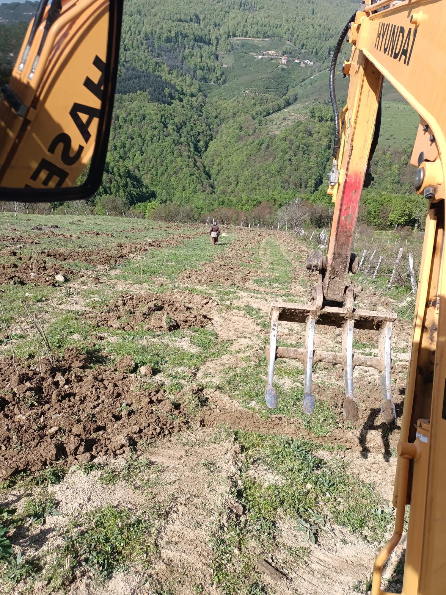 Fındık Dikimi Hizmeti